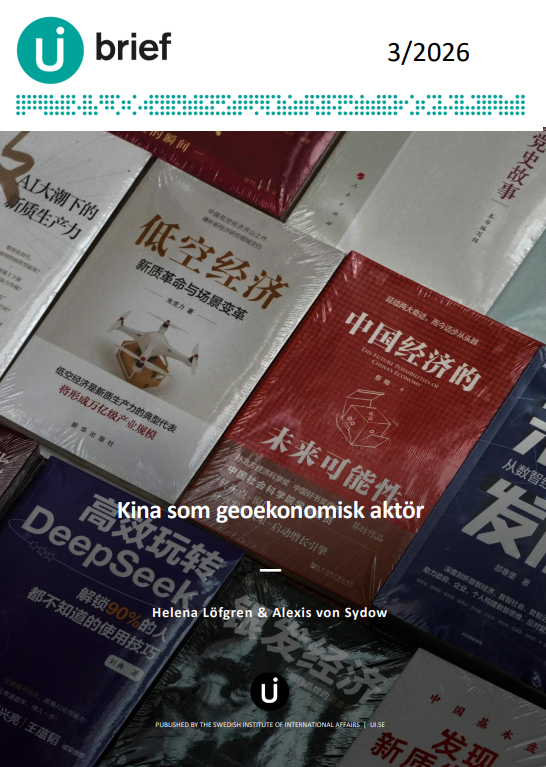 ui-brief-no.-3-apr-2025-kina-som-geokonomisk-aktor